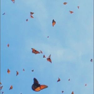 Meet your Posher, Rubi